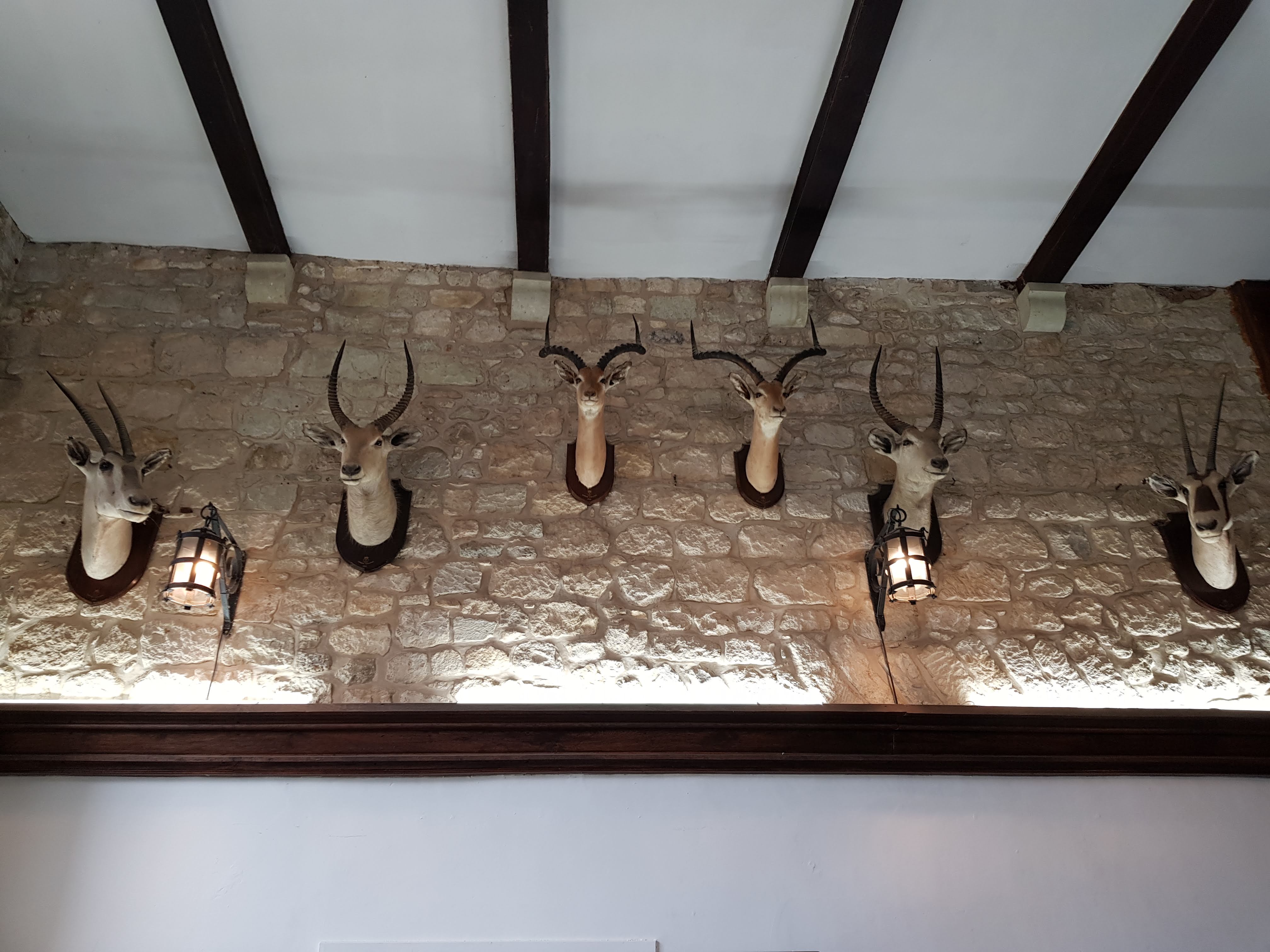 Carisbrooke Castle Image 18