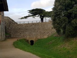 Carisbrooke Castle Image 32