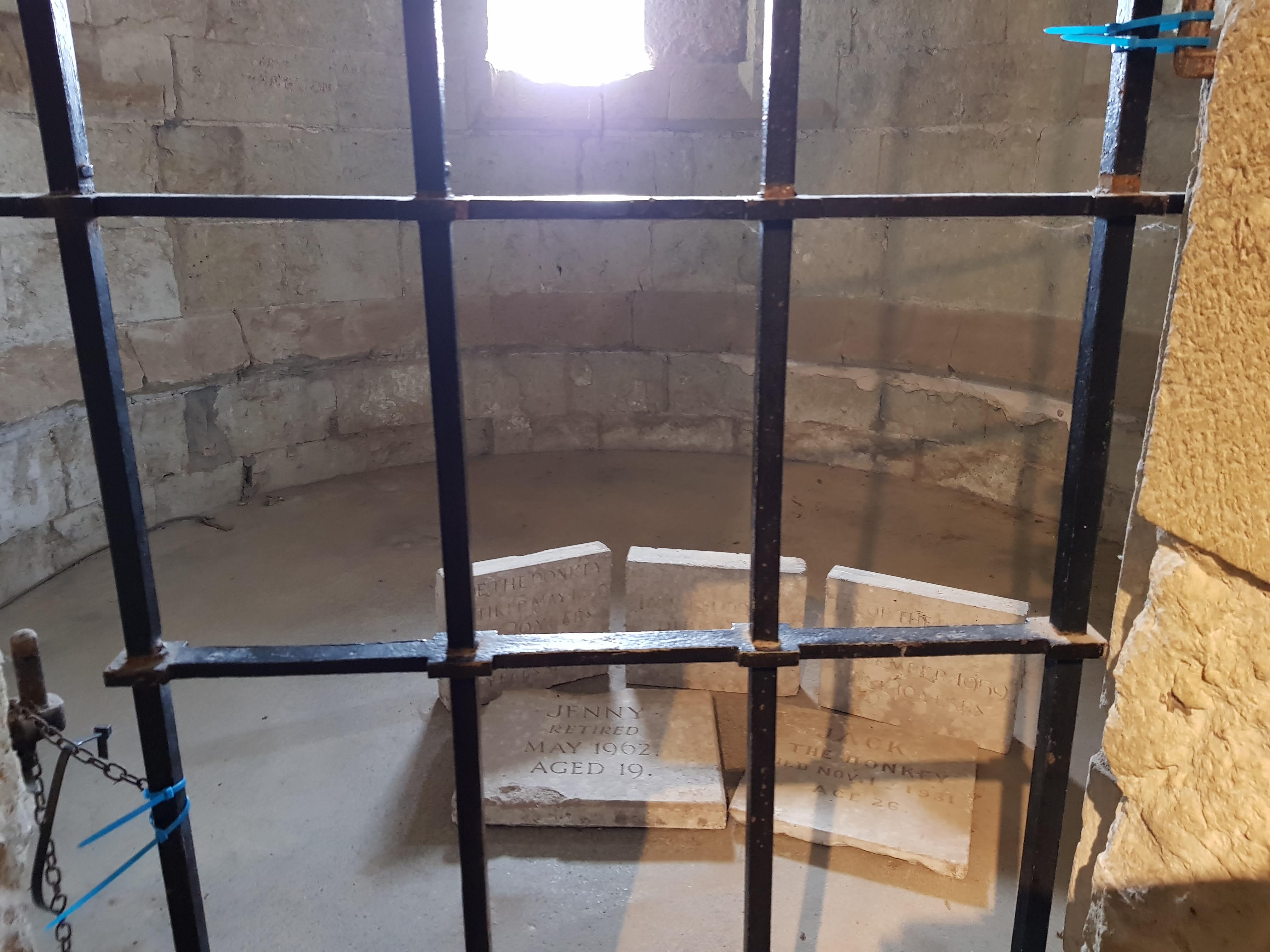 Carisbrooke Castle Image 52