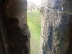 Carisbrooke Castle Image 53