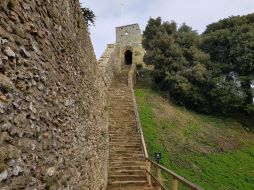 Carisbrooke Castle Image 57