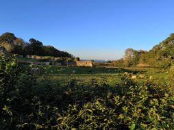 Quarr Abbey Ruins Image 1